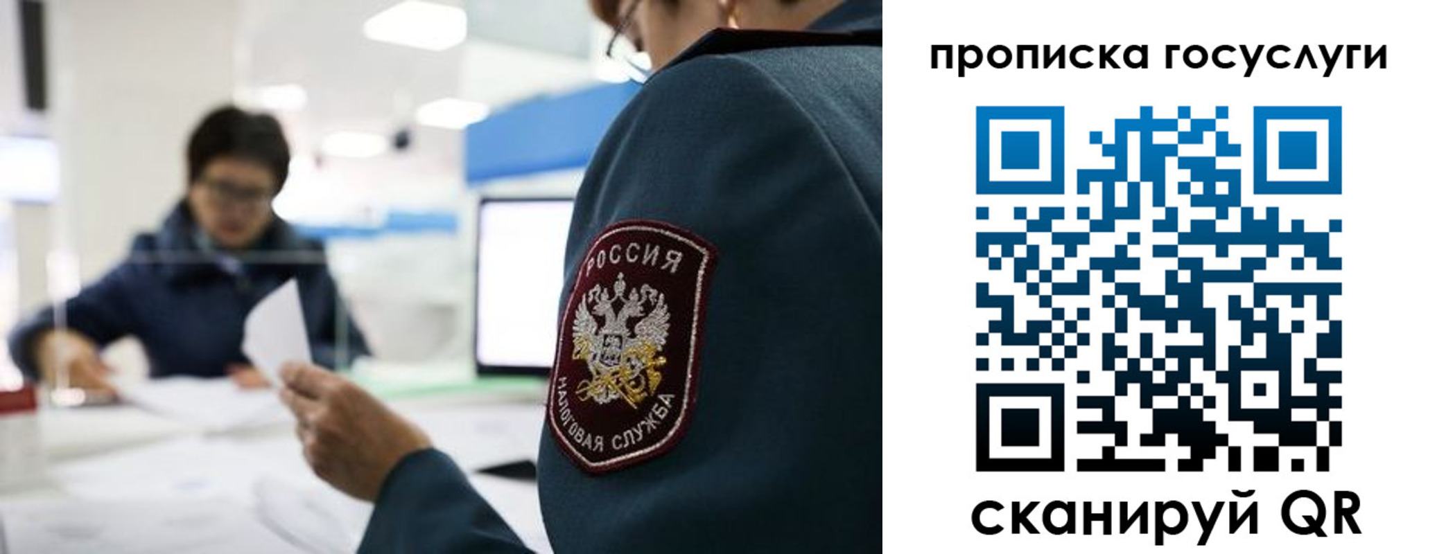 регистрация для школы в Ивановской области